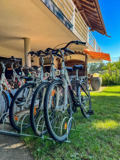 Pension Schwalbennest - 4