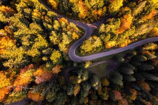 Altes Forsthaus - Fewo "Wiesental", privater "Spa" mit Sauna, Wanne und Relaxliegen, Todtnau- Feldberg - 8