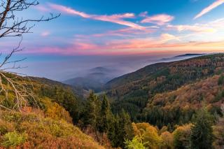 Altes Forsthaus - Fewo "Wiesental", privater "Spa" mit Sauna, Wanne und Relaxliegen, Todtnau- Feldberg - 7