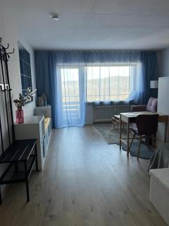 Pavla's Cozy Apartment - scaffolding in front of the balcony until autumn - 9