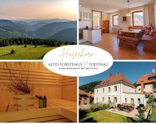 Altes Forsthaus - Fewo "Hasenhorn", mit privater Sauna, Todtnau- Feldberg - 9