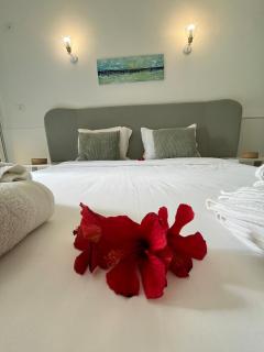 Oasis of Kantaoui, Garden And Beach Access - 5