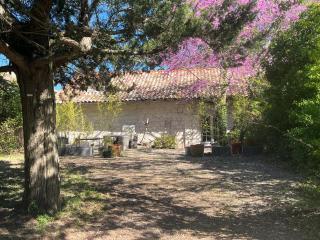 Les Suites du Midi - 1