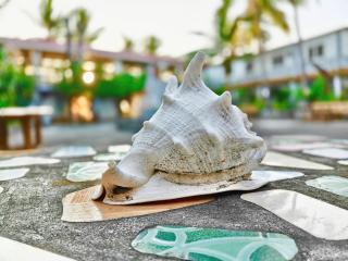 Sunbloom Beachfront Hotel and Restaurant Zambales - 4