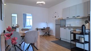 CONNECT Living - 3 Apartments - Boxspringbett-Balkon-Parkplatz-Arbeitsplatz-Fahrstuhl - 5