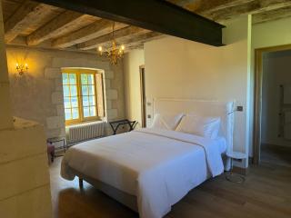 Gîte du Château des Brétignolles - Près de Chinon - 1
