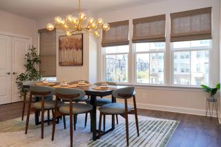 New LUX home close to DC and Metro - 5