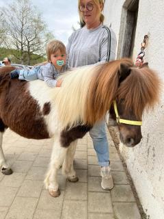 Ferienhof Dirnberg - Amerang - 3