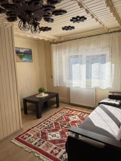 Затишок біля Синевиру - 8