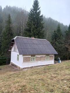 Лісова світлиця - 1