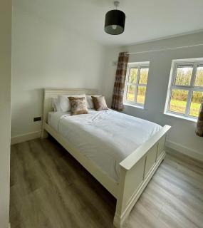 Modern house Boyle - 2