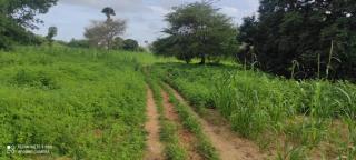 Charly Chez L'Habitant - 8