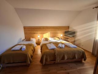 MAŁE ALPY & SPA - Willa z Prywatnym Basenem i Jacuzzi na Wyłączność - 5