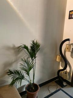 E11 Puran Heights - 0