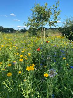Vakantiewoning Op de Woerd - 3