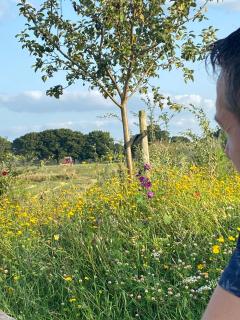 Vakantiewoning Op de Woerd - 1