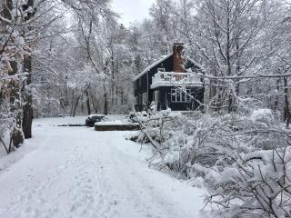CT Retreat - Stream, Lush Gardens, Optional Studio - 9
