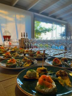 Ayda Winery & Vineyards - 9