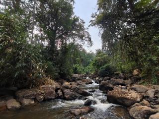 River Wood Cottages - 7