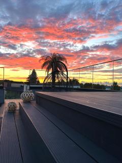 Palm Residence Luxury - 3