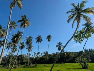 Sunrise Rice Field Villa near Tangalle - 5