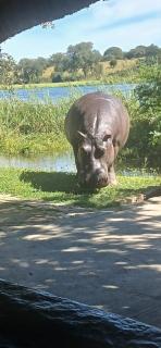 Camp Hogo Kavango - 9