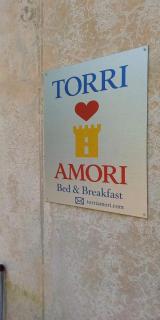 Torri Amori - 5