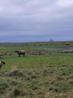 Gîte La Chapellière 4 personnes non fumeur - 8