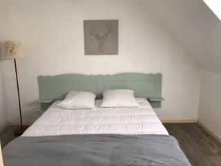 Appartement spacieux et agréable sur la station de Peyragudes - 8