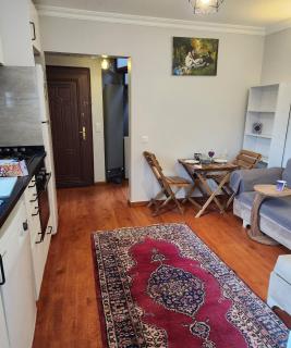 Taksim Private Terrace Near Museum of Innocence - 6