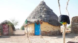 Jaisalmer Friend Overnight Camel Safari - 2