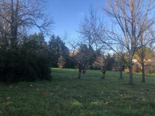 Charmante Maison a Garidech - 2