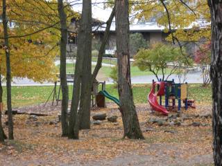 No Worries at Summit Village! - Bellaire - 1