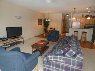 I'll Be Back Ski inout condo - 5