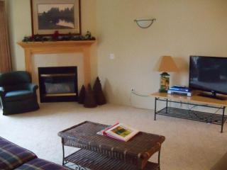 I'll Be Back Ski inout condo - 4
