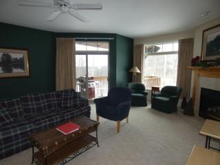 I'll Be Back Ski inout condo - 2
