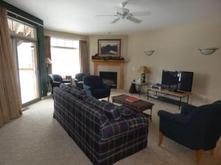 I'll Be Back Ski inout condo - 1