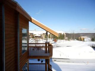 Family Retreat at Cedar River - 7
