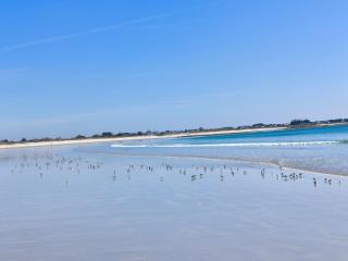 Maison Penmarc'h 800 m plage, 10 mn Guilvinec et La Torche - 8