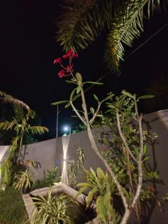 Mangrove Village Hikkaduwa - 5