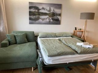 Fewo Turmfalke 2-Zimmer-Appartement mit Sauna und Schwimmbad - 5