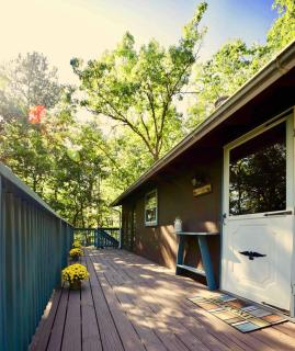 Cozy Romantic Cabin with Fire Pit Near Shenandoah NP - 8