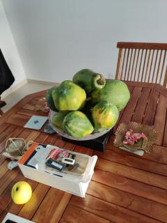 Furnished apartment in Terra Branca - 6