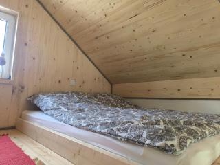 Szumiące Brzozy w Dolinie Baryczy - 9