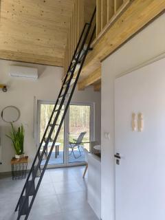 Szumiące Brzozy w Dolinie Baryczy - 8