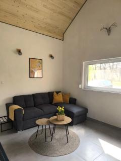 Szumiące Brzozy w Dolinie Baryczy - 6