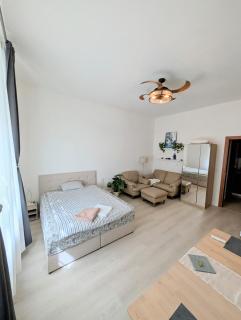 Convenient apartment in city center - 1