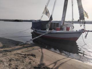 Royal Felucca - Shared Amazing Sailing - 8