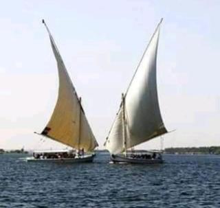 Royal Felucca - Shared Amazing Sailing - 7