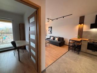 Apartament LOFT Ogrody Andersa - 1